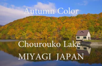 Autumn leaves in Lake Chourou | Shichikasyuku, Miyagi japan