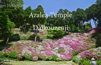 Azalea Temple Daikouzenji Chigiri-en | Kiyama, Saga Japan