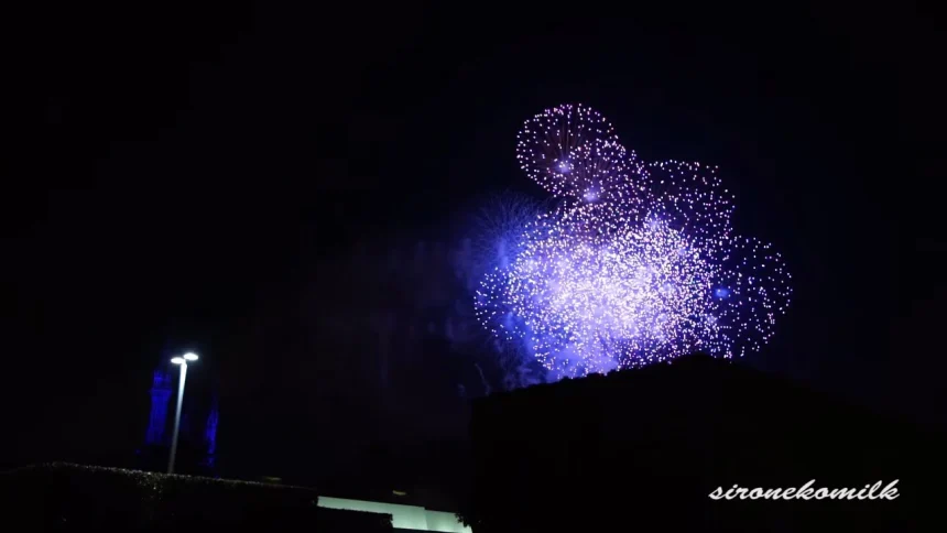 Tokyo Disneyland New Year's Eve Count Down Fireworks Show 2014-2015