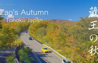 Autumn Leaves in Zao Echo Line | Miyagi & Yamagata Japan