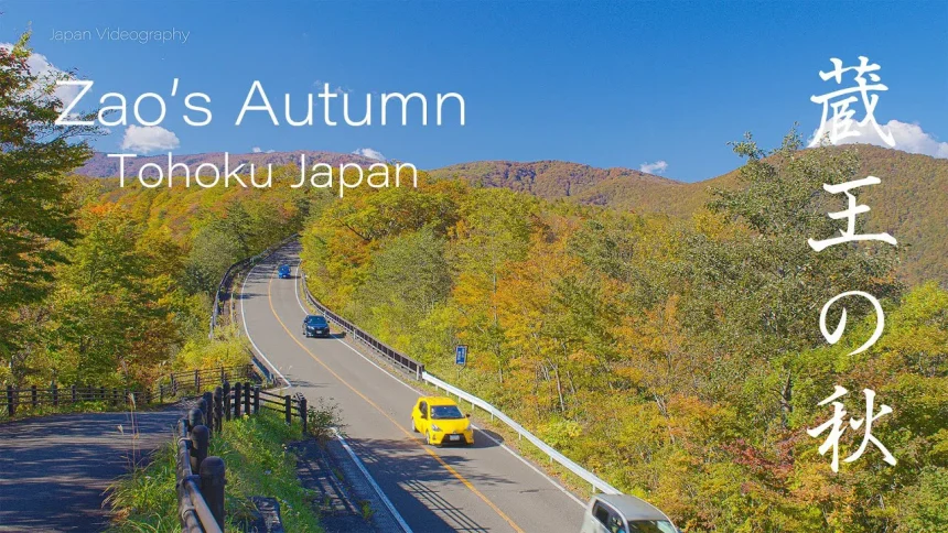 Autumn Leaves in Zao Echo Line | Miyagi & Yamagata Japan
