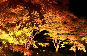Beautiful autumn view of the Entsuin garden 2012 | Matsushima, Miyagi Japan
