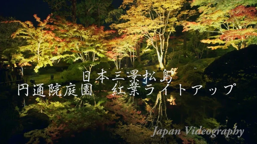 Entsuuin Garden Autumn Leaves Light Up | Matsushima, Miyagi Japan