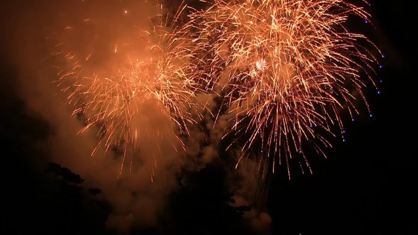 The Festival in Shibata 2012 Finale Fireworks Show | Shibata, Miyagi Japan