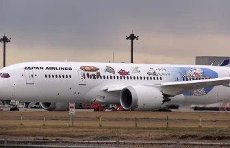 JAL×GHIBLI Boeing 787-8 Take off from Narita Int'l Airport