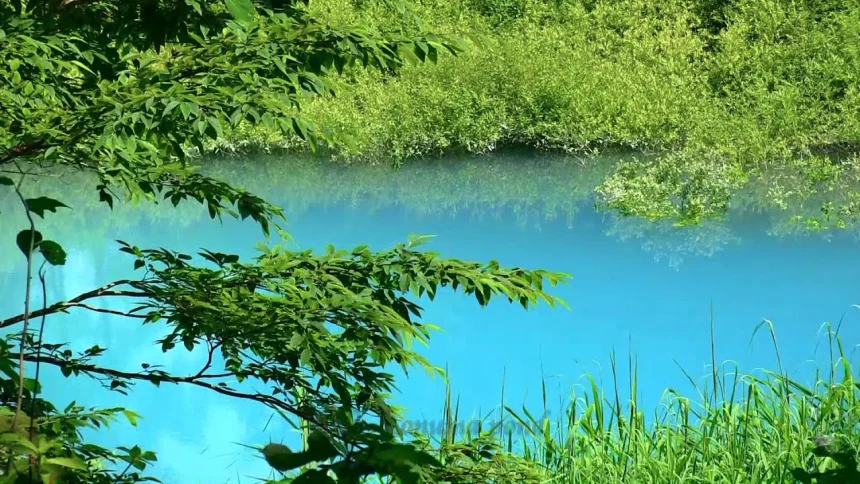 Fantastic Colors Pond of Goshikinuma | Kitashiobara, Fukushima Japan