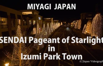 2016 SENDAI Pageant of Starlight in Izumi Park Town | Sendai, Miyagi Japan