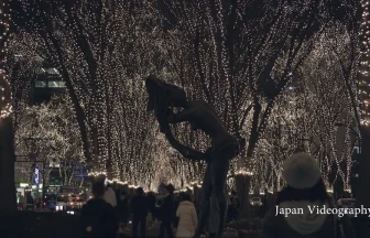 Sendai Pageant of Starlight 2016(Christmas Lights) | Sendai, Miyagi japan