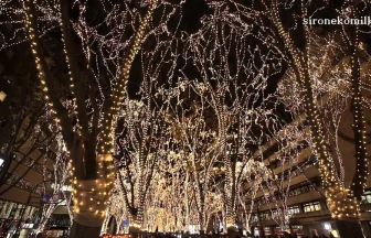 SENDAI PAGEANT OF STARLIGHT 2015 | Christmas Lights in Miyagi Japan