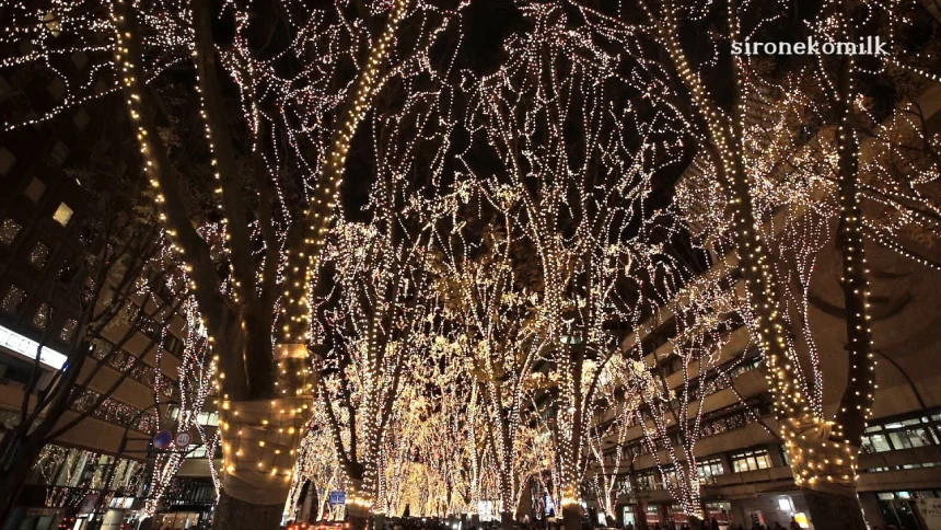 SENDAI PAGEANT OF STARLIGHT 2015 | Christmas Lights in Miyagi Japan