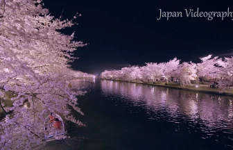The best spring view in Japan Beautiful cherry blossoms in Hirosaki Park | Hirosaki, Aomori Japan