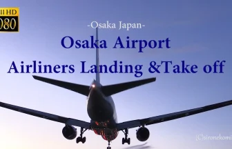 Plane Spotting at Osaka International Airport | Osaka & Hyogo Japan