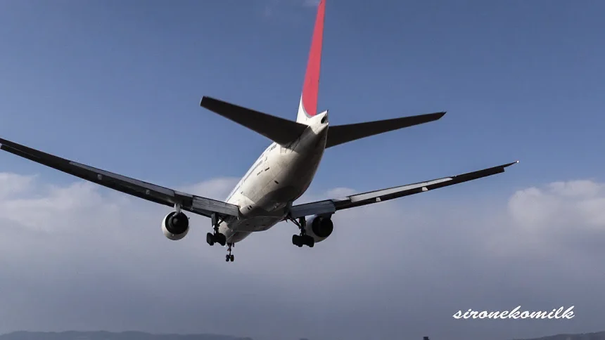 JAL BOEING 767-300 Landing & Take off at Osaka Int'l Airport