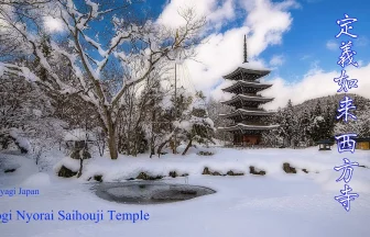 Jogi Nyorai Saihouju Temple Snowscape | Sendai, Miyagi Japan