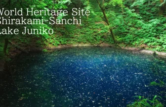 Blue Pond in Lake Juni | UNESCO World Heritage Site, Shirakami-Sanchi | Fukaura, Aomori Japan