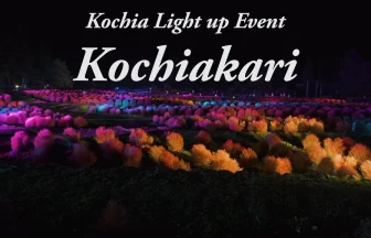 Michinoku Park Kochia Light Up Event Kochiakari 2017 | Kawasaki, Miyagi Japan
