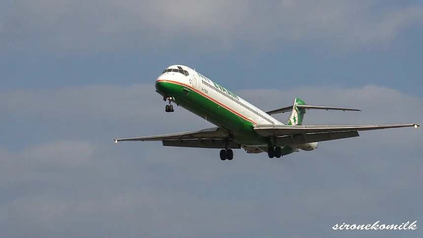 EVA Air McDonnell Douglas MD-90-30 Landing to Sendai Airport.