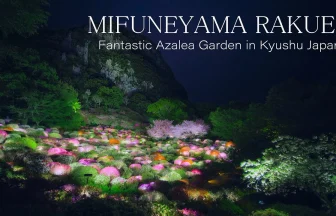Fantastic Azalea Flowers in Takeo Onsen Mifuneyama Rakuen | Takeo, Saga Japan