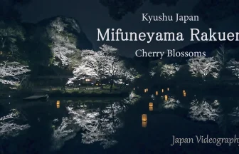 Mifuneyama Rakuen Night Cherry Blossoms Light Up | Takeo, Saga Japan