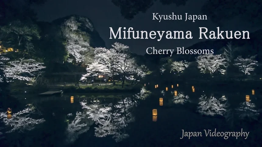 Mifuneyama Rakuen Night Cherry Blossoms Light Up | Takeo, Saga Japan