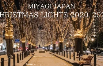 6K UHD Miyagi Japan Best 9 Christmas Lights 2020-2021
