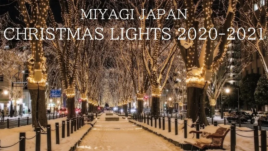 6K UHD Miyagi Japan Best 9 Christmas Lights 2020-2021