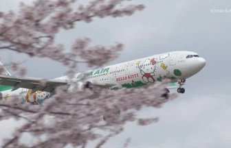 Scenery of Sakura no Yama Park & Plane Spotting at Tokyo Narita International Airport | Narita, Chiba Japan