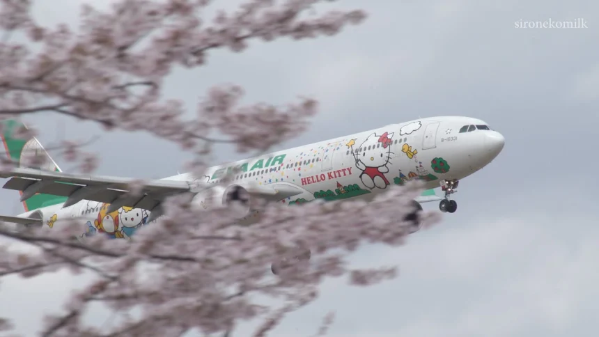 Scenery of Sakura no Yama Park & Plane Spotting at Tokyo Narita International Airport | Narita, Chiba Japan