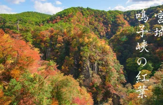 Beautiful Autumn leaves in Narukokyo Gorge| Osaki, Miyagi Japan