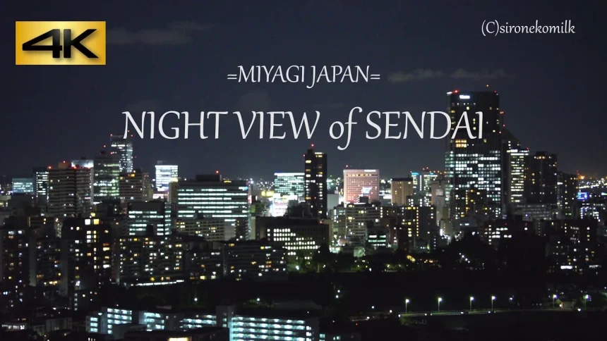 Night View of Sendai City from Sendai Castle ruins | Sendai, Miyagi japan