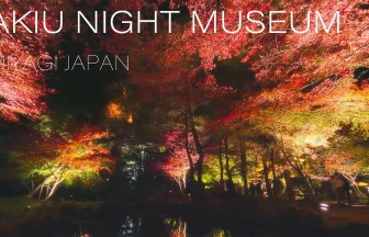 Autumn Leaves Lit Up Akiu Night Museum 2020 | Sendai, Miyagi Japan