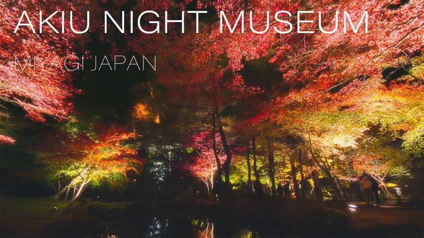 Autumn Leaves Lit Up Akiu Night Museum 2020 | Sendai, Miyagi Japan