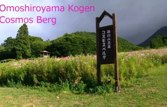Omoshiroyama Kogen Cosmos Berg | Yamagata, Yamagata Japan