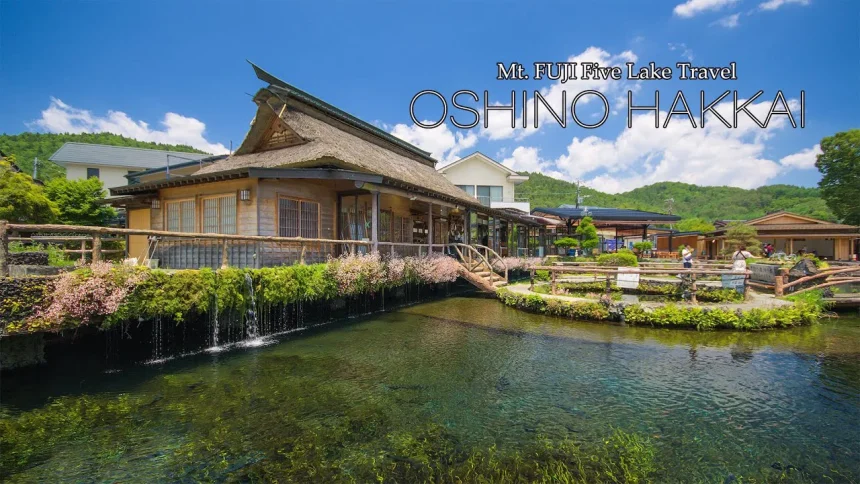 Oshino Hakkai(忍野八海) | World Heritage Fuji Five Lakes Travel in Yamanashi Japan