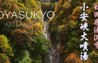 Autumn Leaves in Oyasukyo Daifunto | Yuzawa, Akita Japan