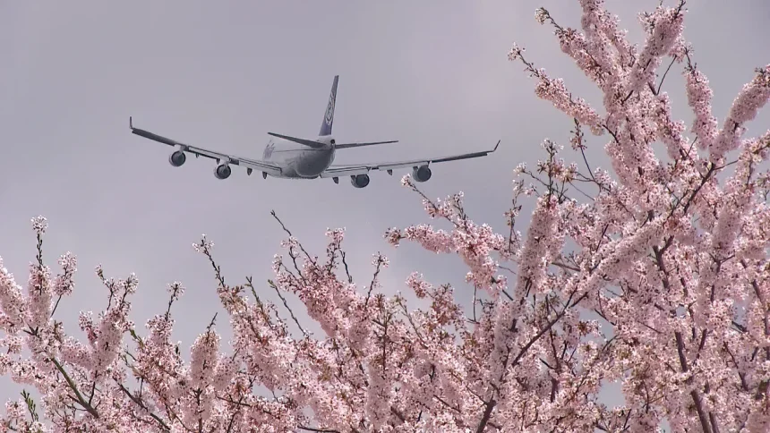 Polar Air Cargo Boeing 747-47UF Take off, Tokyo Narita International Airport