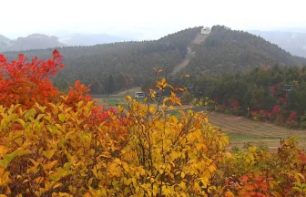 Autumn Leaves in Zao Onsen Ski Resort | Yamagata, Yamagata Japan