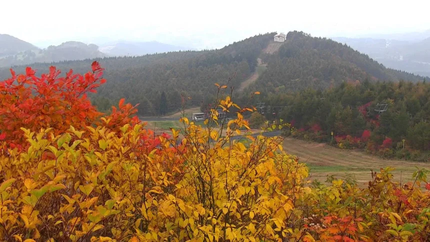 Autumn Leaves in Zao Onsen Ski Resort | Yamagata, Yamagata Japan