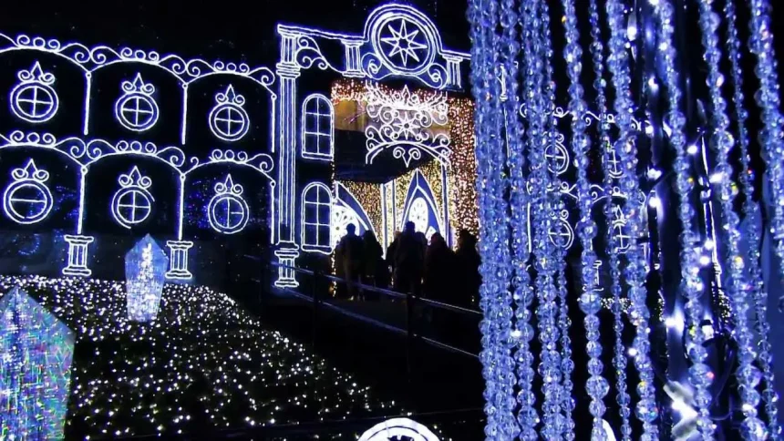 Illumination of Sagamiko Illumillion 2012-2013 | Sagamihara, Kanagawa Japan