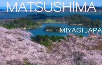 Cherry Blossoms in Saigyomodoshi no Matsu Park | Matsushima, Miyagi Japan