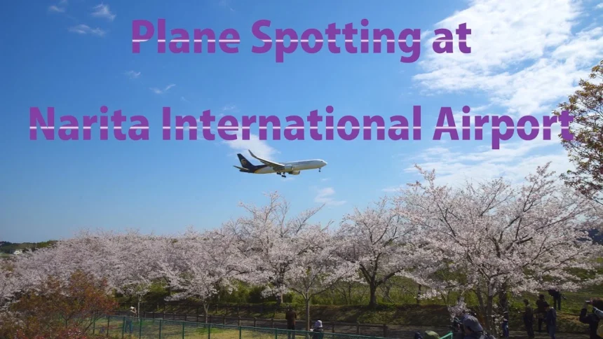 Plane Spoting and Beautiful Cherry Blossoms at Tokyo Narita Int'l Airport | Narita, Chiba Japan