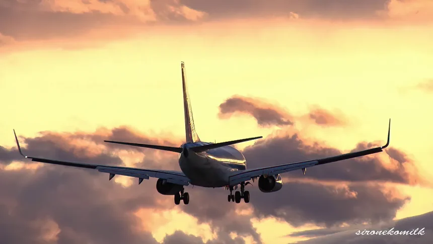 Beautiful Twilight View & Plane Spotting at Sendai Airport