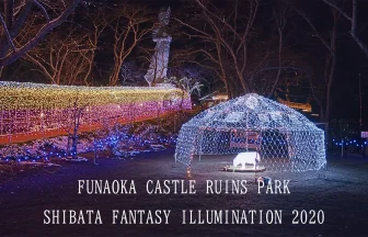 Shibata Fantasy Illumination 2020 | Shibata, Miyagi Japan