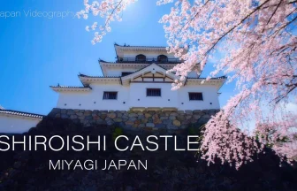 Cherry Blossoms Bloom in Shiroishi Castle Ruins | Shiroishi, Miyagi Japan