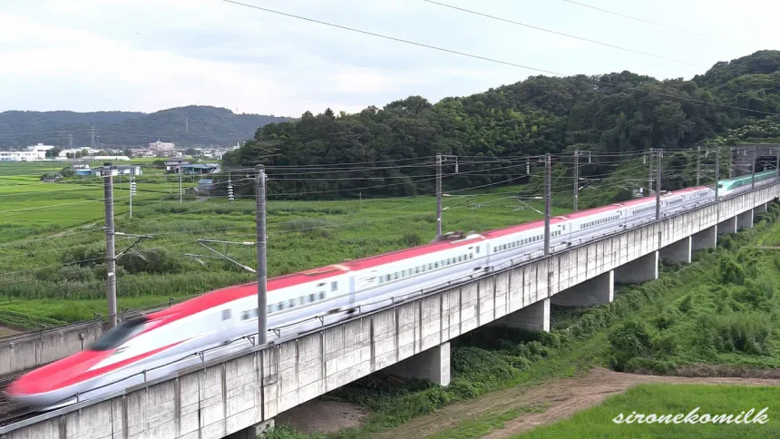 Japanese Bullet Train of Tohoku&Akita Shinkansen E5+E6/E5+E3 Series.
