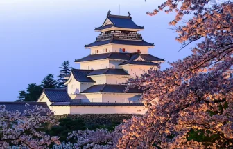 Night Cherry Blossoms in Aizuwakamatsu Castle | Aizuwakamatsu, Fukushima Japan