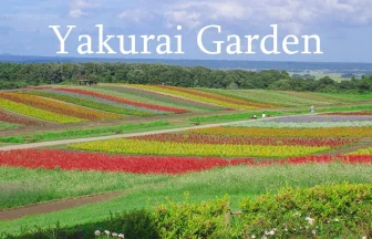 Rainbow Flower Field in Yakurai Garden | Kami, Miyagi Japan