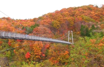 Beautiful Autumn Colors at Yamabiko Suspension Bridge | Shichikasyuku, Miyagi Japan