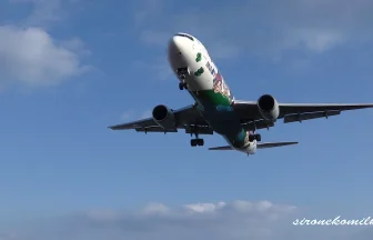 ANA BOEING 767-300 Yume Jet Landing & Take off at Osaka International Airport(Itami)