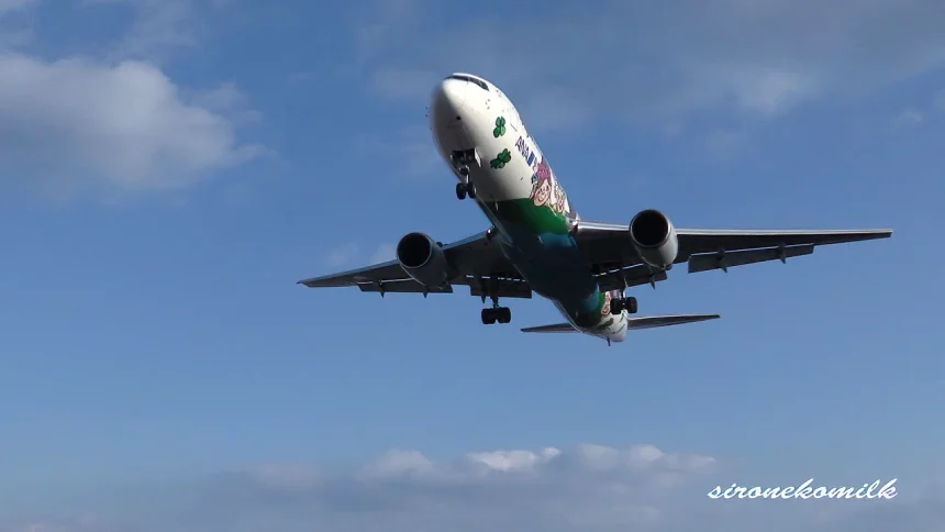 ANA BOEING 767-300 Yume Jet Landing & Take off at Osaka International Airport(Itami)